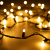 568dc346322b02da2c47806adf4ded21 568dc346322b02da2c47806adf4ded21